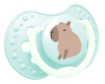 Schnuller CapiChill mintgrün SPEZIALVERSCHLUSS!t mintgrünem Ring SPEZIALVERSCHLUSS!