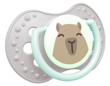 Schnuller CapiChill grau-weiß mit mintgrünem Ring SPEZIALVERSCHLUSS!