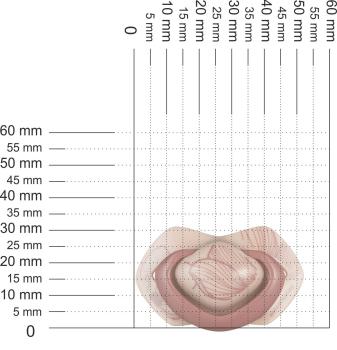 Preview: Schnuller für die ganz Kleinen, Blume, beigerot