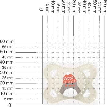 Preview: Schnuller Pinguin mit Mütze, creme