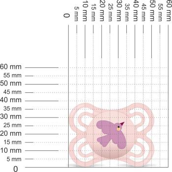 Preview: Schnuller Vogel pink, rosa