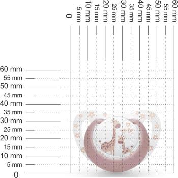 Preview: Schnuller weiß mit Ring terrakotta, Motiv Giraffenmama mit Baby SPEZIALVERSCHLUSS!