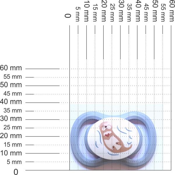 Schnuller himmelblau-weiß mit Otter SPEZIALVERSCHLUSS!