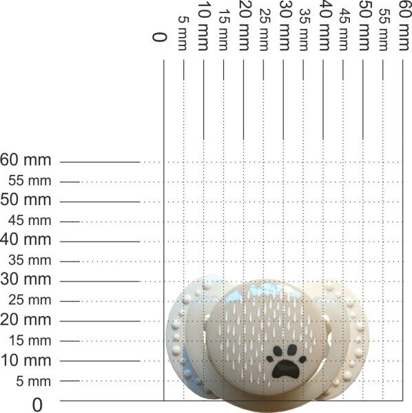 Schnuller für die ganz Kleinen, Tatze, creme