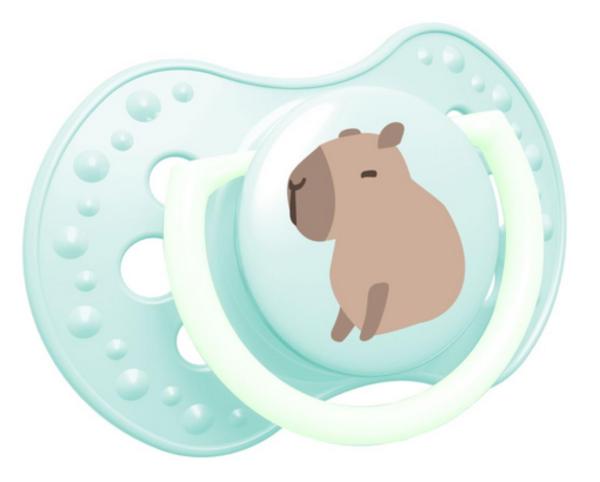 Schnuller CapiChill mintgrün SPEZIALVERSCHLUSS!t mintgrünem Ring SPEZIALVERSCHLUSS!