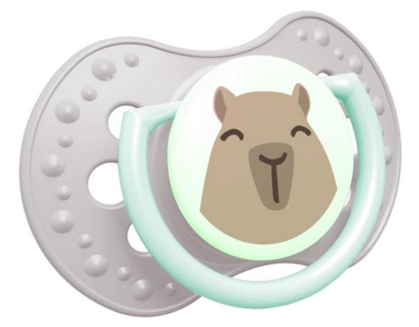 Schnuller CapiChill grau-weiß mit mintgrünem Ring SPEZIALVERSCHLUSS!